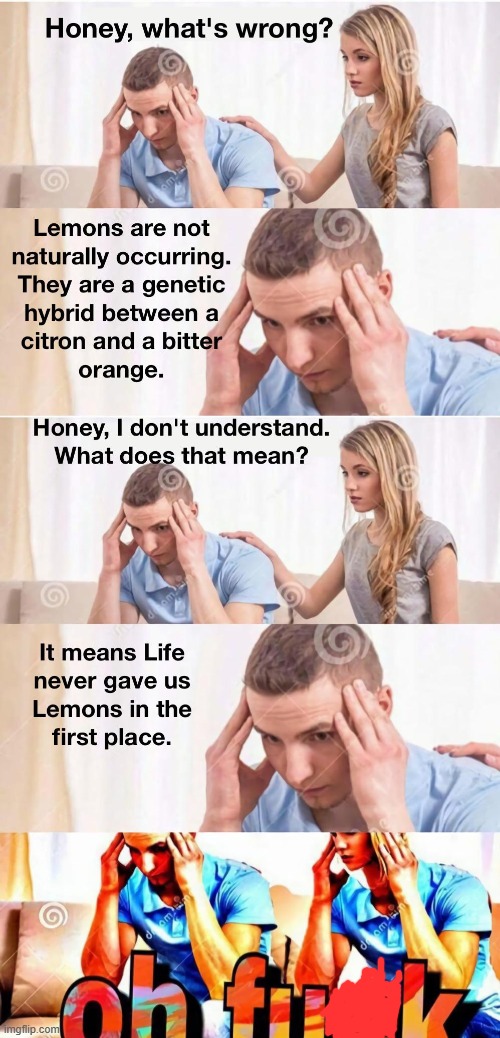 when life gives you lemons | image tagged in dank memes,memes,lemons,education | made w/ Imgflip meme maker
