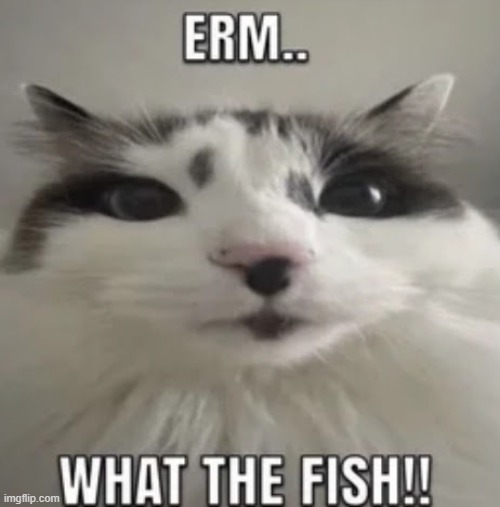 Gimme stuff to say on vocaroo | image tagged in erm what the fish | made w/ Imgflip meme maker
