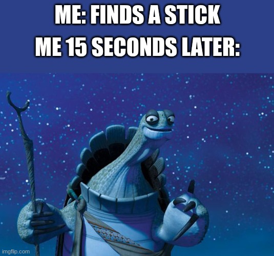 q gr8 wegt wegiuo | ME: FINDS A STICK; ME 15 SECONDS LATER: | image tagged in master oogway,memes,stick | made w/ Imgflip meme maker