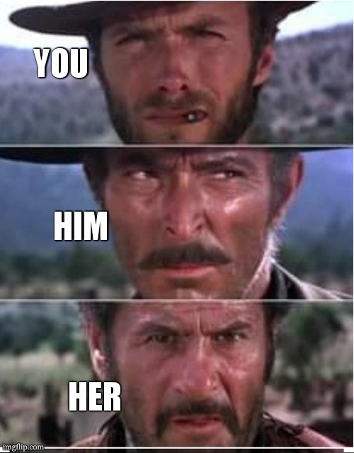the ugly the bad and the good | YOU HIM HER | image tagged in the ugly the bad and the good | made w/ Imgflip meme maker