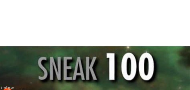 Stealth 100 Skyrim | image tagged in stealth 100 skyrim | made w/ Imgflip meme maker