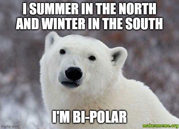 Every year has its highs and lows | I SUMMER IN THE NORTH AND WINTER IN THE SOUTH; I'M BI-POLAR | image tagged in popular opinion polar bear,memes,bipolar,north,south | made w/ Imgflip meme maker