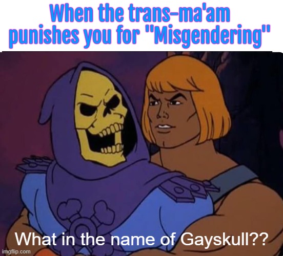 When the trans-ma'am punishes you for "Misgendering"; What in the name of Gayskull?? | image tagged in funny,skeletor,he-man | made w/ Imgflip meme maker