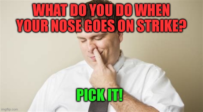 Of course | WHAT DO YOU DO WHEN YOUR NOSE GOES ON STRIKE? PICK IT! | image tagged in picky eater,funny,dad joke | made w/ Imgflip meme maker