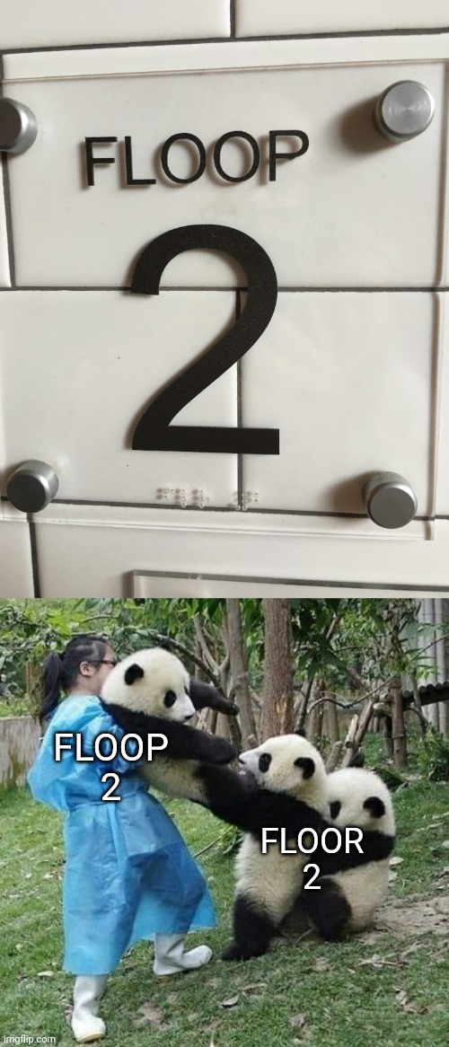 Floop 2 | FLOOP 2; FLOOR 2 | image tagged in panda tug of war,floor,2,floors,you had one job,memes | made w/ Imgflip meme maker