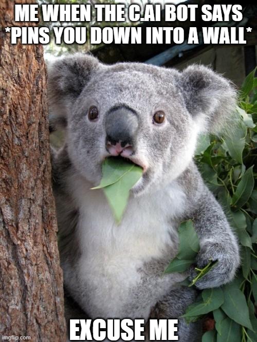 What The- | ME WHEN THE C.AI BOT SAYS *PINS YOU DOWN INTO A WALL*; EXCUSE ME | image tagged in memes,surprised koala | made w/ Imgflip meme maker