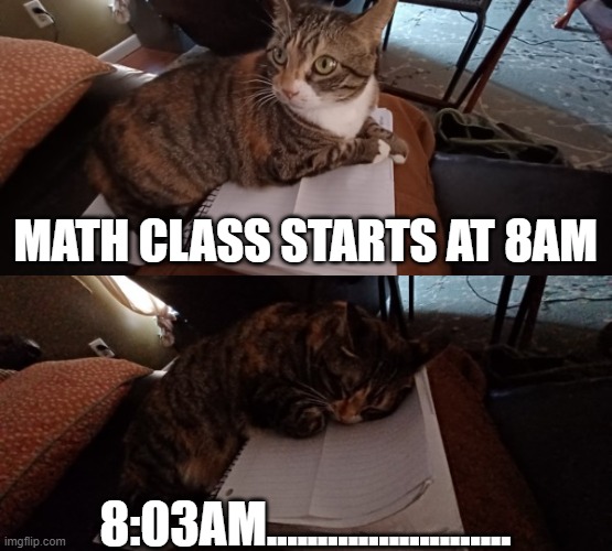 School.....Yay..... | MATH CLASS STARTS AT 8AM; 8:03AM........................ | image tagged in daisy,math | made w/ Imgflip meme maker