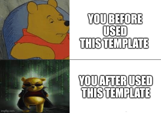 Hacker winnie the pooh | YOU BEFORE USED THIS TEMPLATE; YOU AFTER USED THIS TEMPLATE | image tagged in hacker winnie the pooh,memes,custom template,winnie the pooh | made w/ Imgflip meme maker