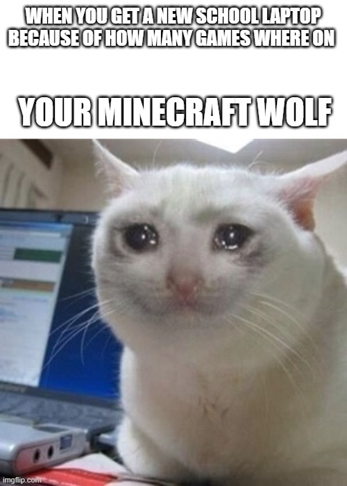 Crying cat | WHEN YOU GET A NEW SCHOOL LAPTOP BECAUSE OF HOW MANY GAMES WHERE ON; YOUR MINECRAFT WOLF | image tagged in crying cat | made w/ Imgflip meme maker