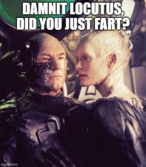 Borg Whiff | DAMNIT LOCUTUS, DID YOU JUST FART? | image tagged in borg queen and locutus | made w/ Imgflip meme maker