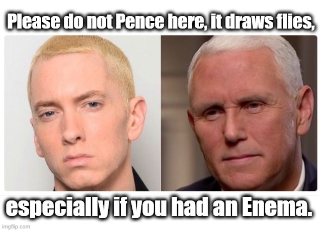 Please, do not Pence here, it draws flies. | image tagged in eminem,mike pence,separated at birth,totally looks like,butthole | made w/ Imgflip meme maker