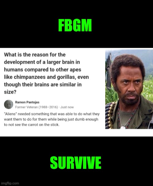 Funny | FBGM; SURVIVE | image tagged in funny | made w/ Imgflip meme maker