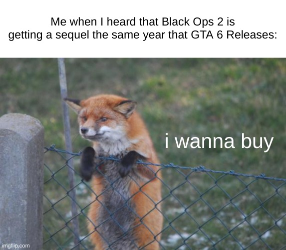 yeah, I'm not kidding, search it up | Me when I heard that Black Ops 2 is getting a sequel the same year that GTA 6 Releases:; i wanna buy | image tagged in fox wanna buy | made w/ Imgflip meme maker