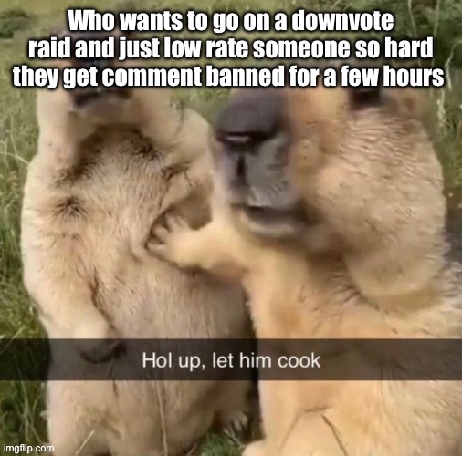 Let him cook | Who wants to go on a downvote raid and just low rate someone so hard they get comment banned for a few hours | image tagged in let him cook | made w/ Imgflip meme maker
