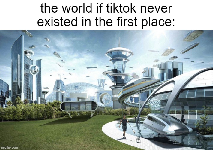 The future world if | the world if tiktok never existed in the first place: | image tagged in the future world if | made w/ Imgflip meme maker