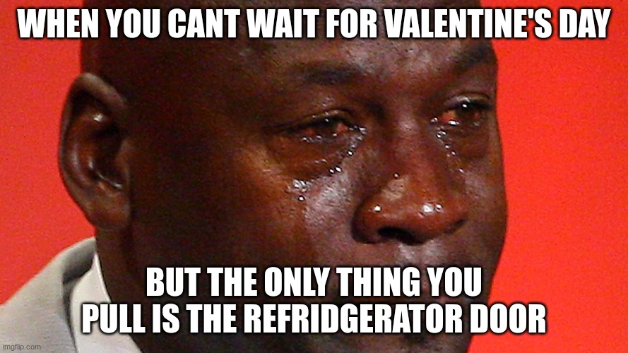 So Real | WHEN YOU CANT WAIT FOR VALENTINE'S DAY; BUT THE ONLY THING YOU PULL IS THE REFRIDGERATOR DOOR | image tagged in sad but true | made w/ Imgflip meme maker