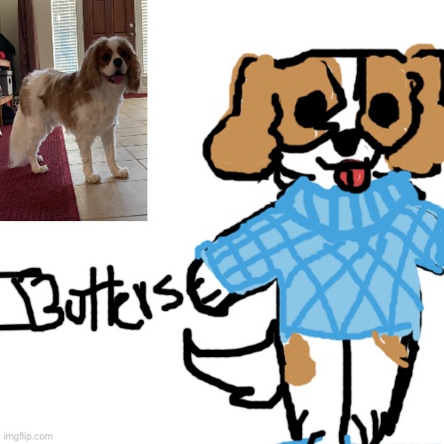 Butters as an animal crossing character | made w/ Imgflip meme maker