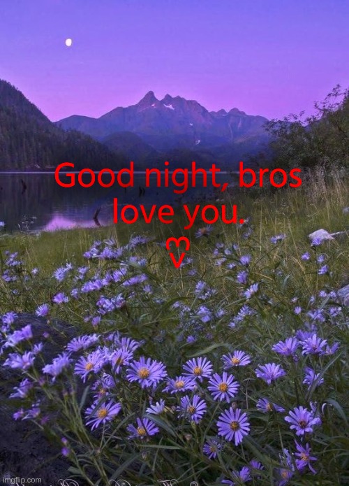 Good night, bros
love you. <3 | made w/ Imgflip meme maker