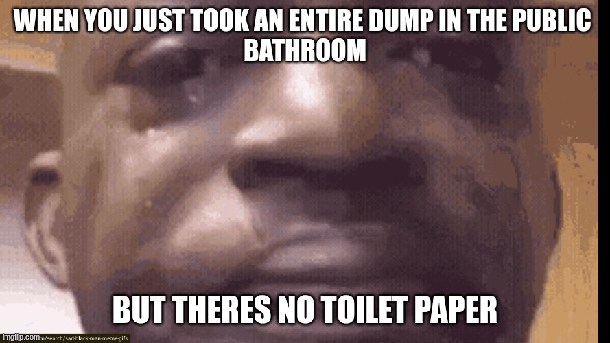 nobody | WHEN YOU JUST TOOK AN ENTIRE DUMP IN THE PUBLIC 
BATHROOM; BUT THERES NO TOILET PAPER | image tagged in bruh moment | made w/ Imgflip meme maker