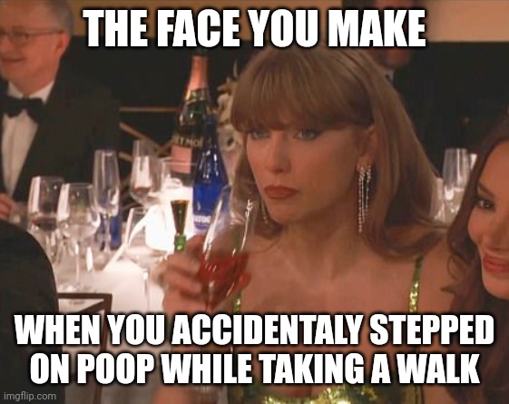 Taylor Swift Golden Globe | THE FACE YOU MAKE; WHEN YOU ACCIDENTALY STEPPED ON POOP WHILE TAKING A WALK | image tagged in taylor swift golden globe,memes,so true | made w/ Imgflip meme maker