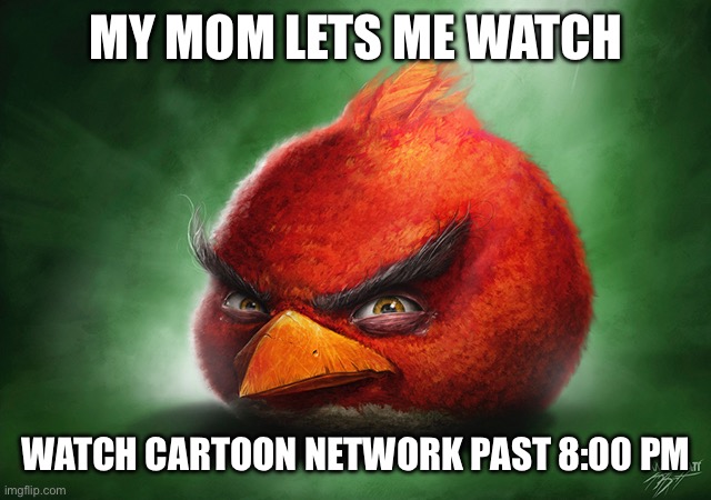 Watching adult swim be like | MY MOM LETS ME WATCH; WATCH CARTOON NETWORK PAST 8:00 PM | image tagged in memes,angry birds,cursed image,realistic red angry birds | made w/ Imgflip meme maker