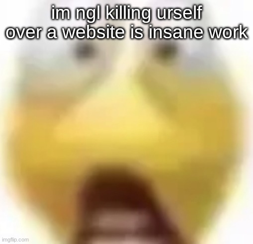 Shocked | im ngl killing urself over a website is insane work | image tagged in shocked | made w/ Imgflip meme maker