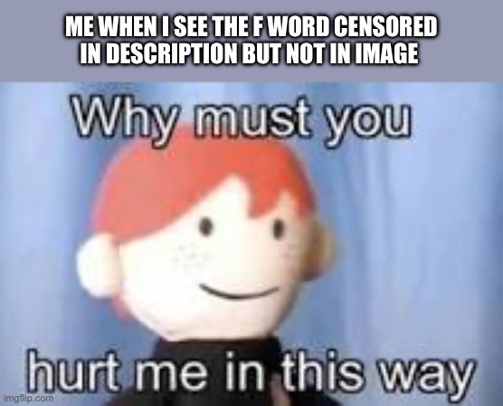Why must you hurt me in this way | ME WHEN I SEE THE F WORD CENSORED IN DESCRIPTION BUT NOT IN IMAGE | image tagged in why must you hurt me in this way | made w/ Imgflip meme maker