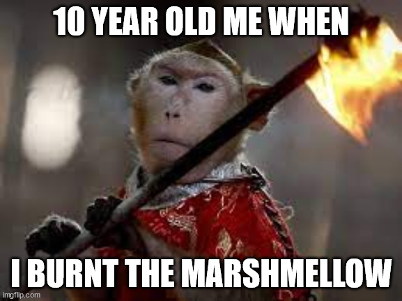 Monke By Fiiire!! | 10 YEAR OLD ME WHEN; I BURNT THE MARSHMELLOW | image tagged in monke,monkey,marshmellow,fire,fire monke,childhood | made w/ Imgflip meme maker