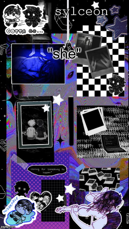 sylc | "she" | image tagged in sylc | made w/ Imgflip meme maker