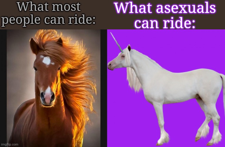 Only a virgin can tame a unicorn. | What most people can ride:; What asexuals
can ride: | image tagged in horse,unicorn,mythology,terms and conditions,lgbt,privilege | made w/ Imgflip meme maker