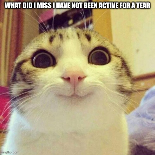 help | WHAT DID I MISS I HAVE NOT BEEN ACTIVE FOR A YEAR | image tagged in memes,smiling cat | made w/ Imgflip meme maker