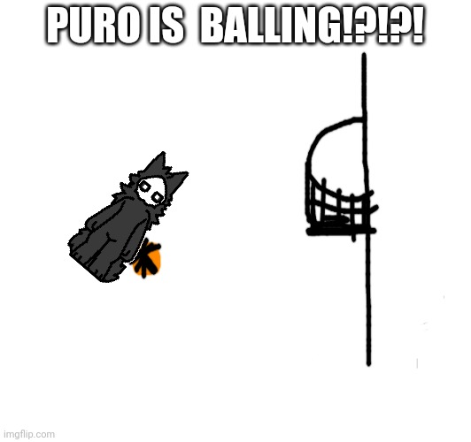 Balling!?!? | PURO IS  BALLING!?!?! | image tagged in hmmmmmmm,jokes,balls,aaaaaaaaaaaaaaaaaaaaaaaaaaa | made w/ Imgflip meme maker