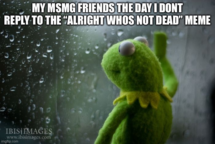 kermit window | MY MSMG FRIENDS THE DAY I DONT REPLY TO THE “ALRIGHT WHOS NOT DEAD” MEME | image tagged in kermit window | made w/ Imgflip meme maker