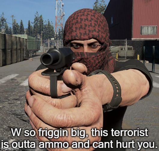 W so friggin big, this terrorist is outta ammo and cant hurt you | image tagged in w so friggin big this terrorist is outta ammo and cant hurt you | made w/ Imgflip meme maker