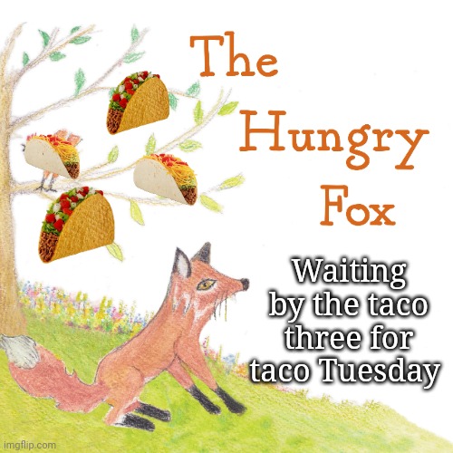 Almost Tuesday | Waiting by the taco three for taco Tuesday | image tagged in taco tuesday,hungry,fox | made w/ Imgflip meme maker
