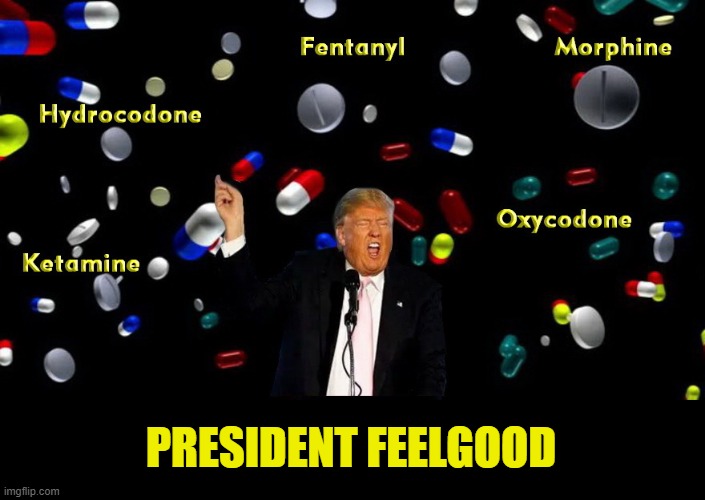 Trump's White House "Pill-Mill" | PRESIDENT FEELGOOD | image tagged in don't do drugs,donald trump,donald trump the clown | made w/ Imgflip meme maker
