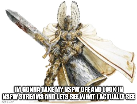 Paladin [Transparent] | IM GONNA TAKE MY NSFW OFF AND LOOK IN NSFW STREAMS AND LETS SEE WHAT I ACTUALLY SEE | image tagged in paladin transparent | made w/ Imgflip meme maker