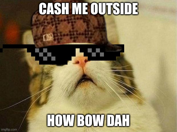 Scared Cat | CASH ME OUTSIDE; HOW BOW DAH | image tagged in memes,scared cat | made w/ Imgflip meme maker