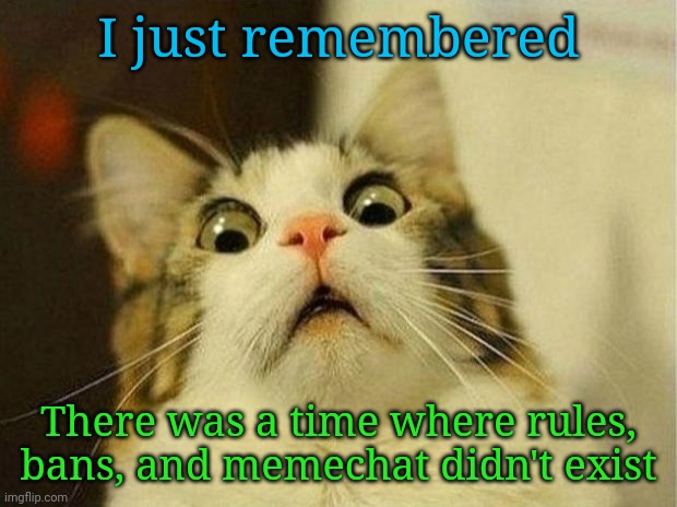 Scared Cat Meme | I just remembered; There was a time where rules, bans, and memechat didn't exist | image tagged in memes,scared cat | made w/ Imgflip meme maker