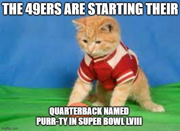 meme by Brad 49ers quarterback is named Purr-ty | THE 49ERS ARE STARTING THEIR; QUARTERBACK NAMED PURR-TY IN SUPER BOWL LVIII | image tagged in cats,funny cat memes,nfl,nfl football,sports,funny cats | made w/ Imgflip meme maker