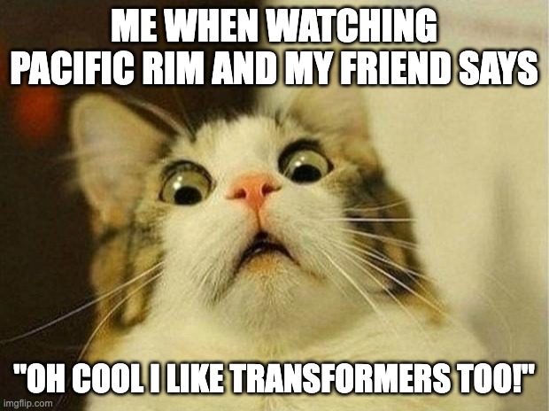 transformer / pacific rim logic | ME WHEN WATCHING PACIFIC RIM AND MY FRIEND SAYS; "OH COOL I LIKE TRANSFORMERS TOO!" | image tagged in memes,scared cat | made w/ Imgflip meme maker