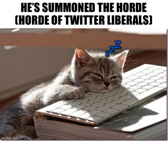 Bored Keyboard Cat | HE’S SUMMONED THE HORDE (HORDE OF TWITTER LIBERALS) ? | image tagged in bored keyboard cat | made w/ Imgflip meme maker