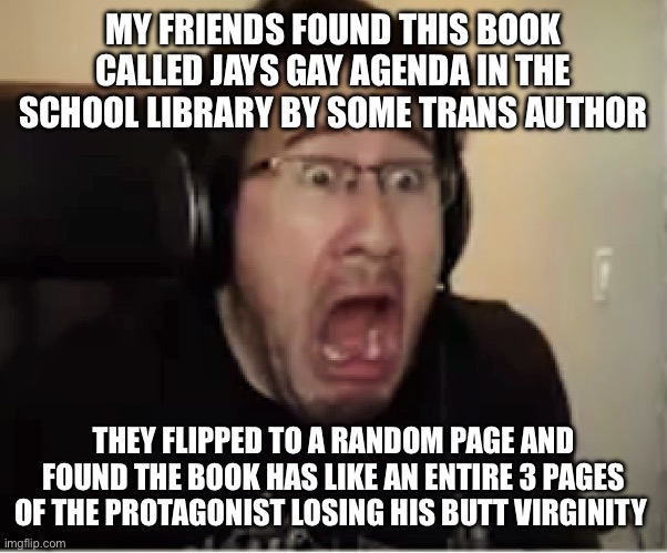 Fucking disgusting | MY FRIENDS FOUND THIS BOOK CALLED JAYS GAY AGENDA IN THE SCHOOL LIBRARY BY SOME TRANS AUTHOR; THEY FLIPPED TO A RANDOM PAGE AND FOUND THE BOOK HAS LIKE AN ENTIRE 3 PAGES OF THE PROTAGONIST LOSING HIS BUTT VIRGINITY | image tagged in horrified markiplier | made w/ Imgflip meme maker