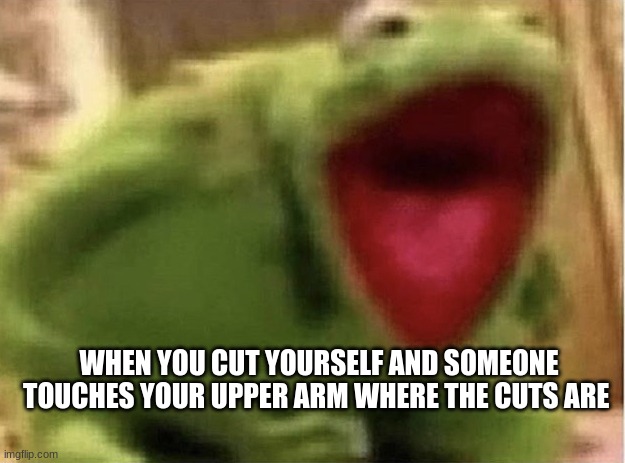 Ah shit Kermit | WHEN YOU CUT YOURSELF AND SOMEONE TOUCHES YOUR UPPER ARM WHERE THE CUTS ARE | image tagged in ah shit kermit | made w/ Imgflip meme maker