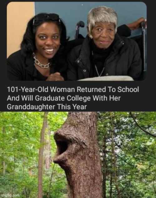 College | image tagged in tree pog,graduate,college,memes,woman,graduation | made w/ Imgflip meme maker