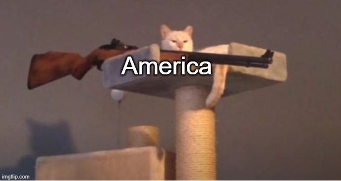 Sniper Cat (No Text) | America | image tagged in sniper cat no text | made w/ Imgflip meme maker