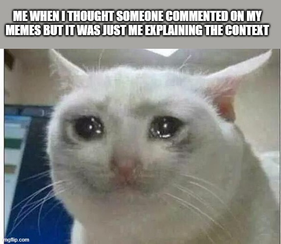 OKAY BUT WHY | ME WHEN I THOUGHT SOMEONE COMMENTED ON MY MEMES BUT IT WAS JUST ME EXPLAINING THE CONTEXT | image tagged in crying cat,sad,oof,unpopular | made w/ Imgflip meme maker