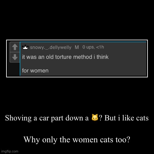 Shoving a car part down a ?? But i like cats | Why only the women cats too? | image tagged in funny,demotivationals | made w/ Imgflip demotivational maker