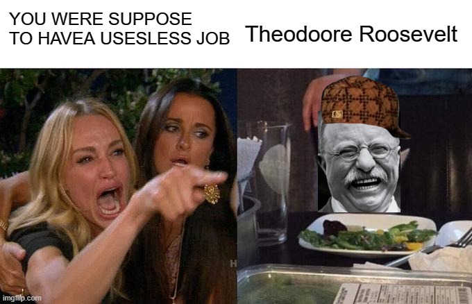 When tr got elected | YOU WERE SUPPOSE TO HAVEA USESLESS JOB; Theodoore Roosevelt | image tagged in memes,woman yelling at cat | made w/ Imgflip meme maker
