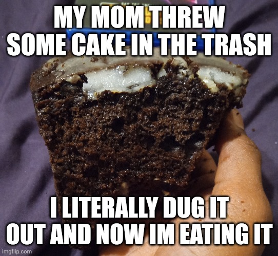 MY MOM THREW SOME CAKE IN THE TRASH; I LITERALLY DUG IT OUT AND NOW IM EATING IT | made w/ Imgflip meme maker